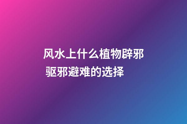 风水上什么植物辟邪 驱邪避难的选择